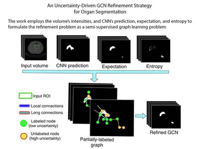 An Uncertainty-Driven GCN Refinement Strategy for Organ Segmentation cover file