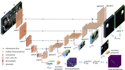 Boosting Semi-supervised Image Segmentation with Global and Local Mutual Information Regularization cover file