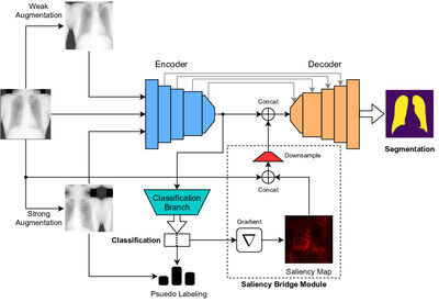 Generalized Multi-Task Learning from Substantially Unlabeled Multi-Source Medical Image Data cover file