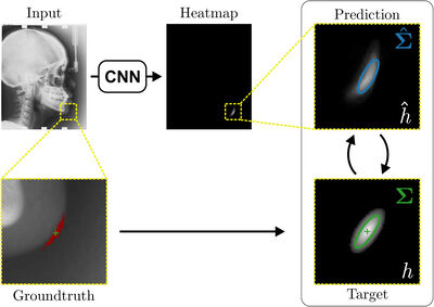 Modeling Annotation Uncertainty with Gaussian Heatmaps in Landmark Localization cover file