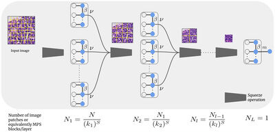 Locally orderless tensor networks for classifying two- and three-dimensional medical images cover file