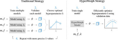 Learning the Effect of Registration Hyperparameters with HyperMorph cover file