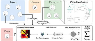 Semi-Supervised Federated Peer Learning for Skin Lesion Classification cover file