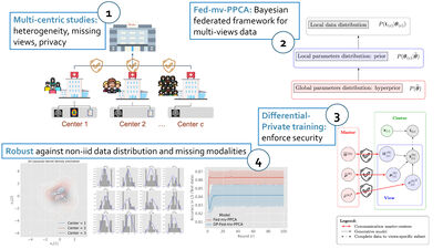 A Differentially Private Probabilistic Framework for Modeling the Variability Across Federated Datasets of Heterogeneous Multi-View Observations cover file