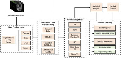 An Approach to Automated Diagnosis and Texture Analysis of the Fetal Liver & Placenta in Fetal Growth Restriction cover file