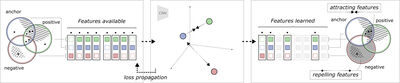 Learning Representations with Contrastive Self-Supervised Learning for Histopathology Applications cover file