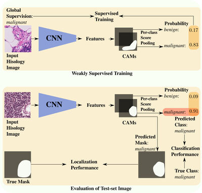 Deep Weakly-Supervised Learning Methods for Classification and Localization in Histology Images: A Survey cover file