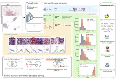 Learning Interpretable Microscopic Features of Tumor by Multi-task Adversarial CNNs To Improve Generalization cover file