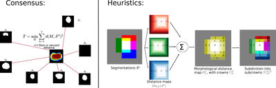 Morphologically-Aware Consensus Computation via Heuristics-based IterATive Optimization (MACCHIatO) cover file