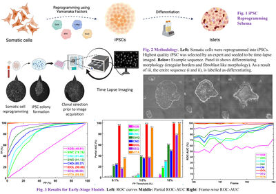 Towards Early Prediction of Human iPSC Reprogramming Success cover file