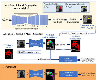 Multi-task learning for joint weakly-supervised segmentation and aortic arch anomaly classification in fetal cardiac MRI cover file