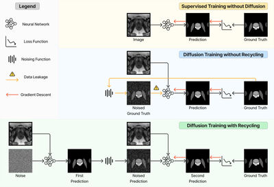 A Recycling Training Strategy for Medical Image Segmentation with Diffusion Denoising Models cover file