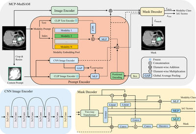 MCP-MedSAM: A Powerful Lightweight Medical Segment Anything Model Trained with a Single GPU in Just One Day cover file
