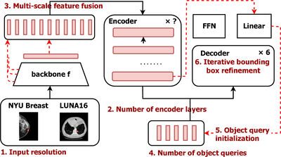 Understanding differences in applying DETR to natural and medical images cover file