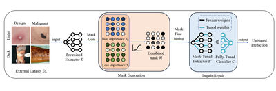 SWiFT: Soft-Mask Weight Fine-tuning for Bias Mitigation cover file