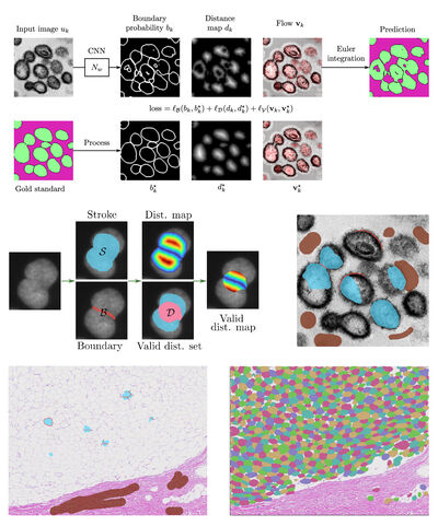 Sketchpose: Learning to Segment Cells with Partial Annotations cover file
