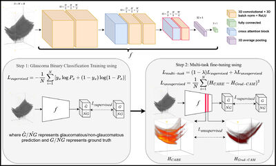AI-CNet3D: An Anatomically-Informed Cross-Attention Network with Multi-Task Consistency Fine-tuning for 3D Glaucoma Classification cover file