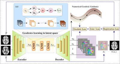Learning Geodesics of Geometric Shape Deformations From Images cover file
