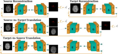 Multi-Domain Brain Vessel Segmentation Through Feature Disentanglement cover file