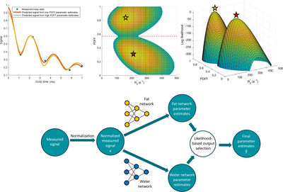 RAIDER: Rapid, anatomy-independent, deep learning-based PDFF and R2* estimation using magnitude-only signals, dual neural networks and training data distribution design cover file