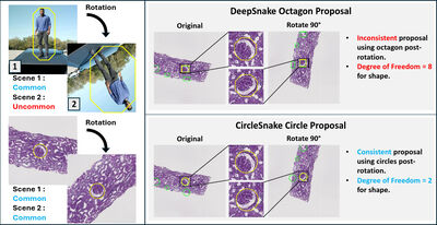 Circle Representation for Medical Instance Object Segmentation cover file