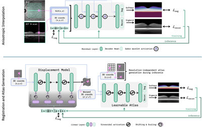 Don’t Mind the Gaps: Implicit Neural Representations for Resolution-Agnostic Retinal OCT Analysis cover file