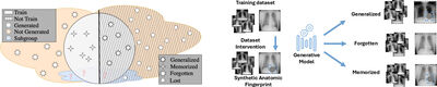 A Data-Interventional Framework for Auditing Privacy and Fairness in Generative Medical Imaging  cover file