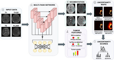 Towards Trustworthy AI for Glioma Diagnosis: A Task-Aware Evaluation of Uncertainty Quantification cover file