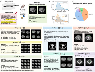 CT-Bench: A Comprehensive Benchmark for Multimodal AI in Computed Tomography Analysis cover file