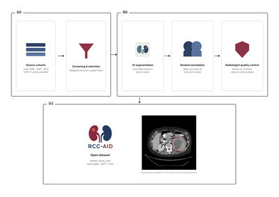 RCC-AID: Renal Cell Carcinoma AI Dataset for Medical Imaging Research cover file